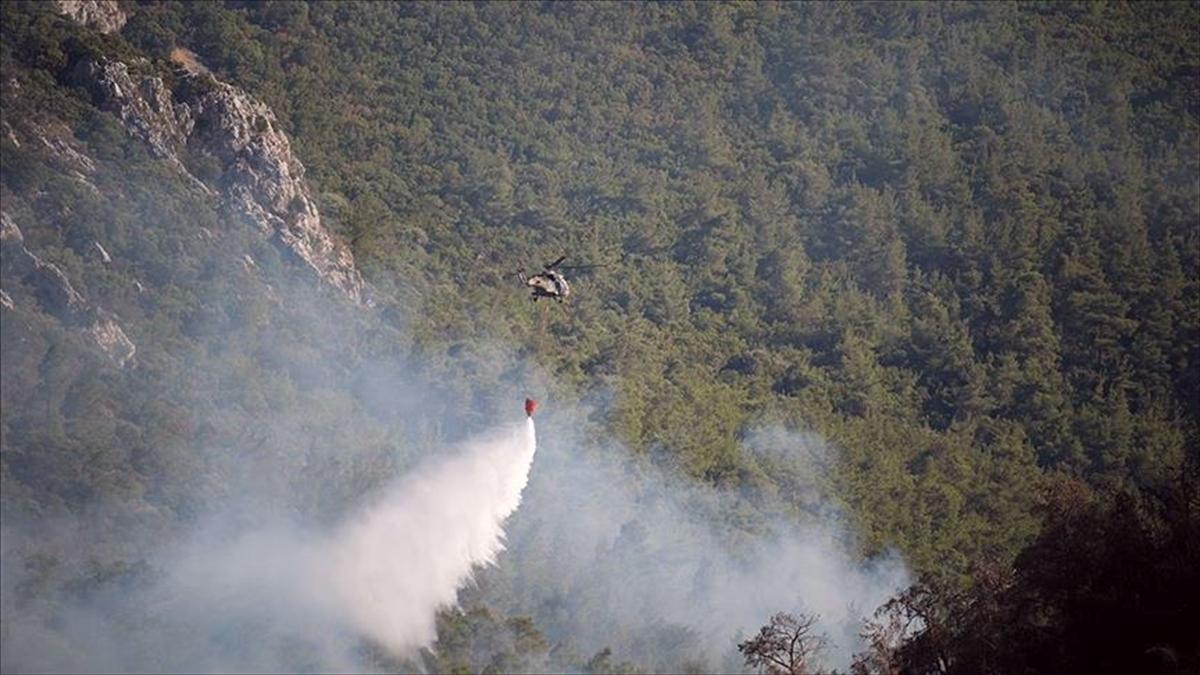 AFAD'dan İzmir ve Aydın'daki yangınlara ilişkin açıklama: Zarar gören vatandaşlara nakdi yardım yapılacak