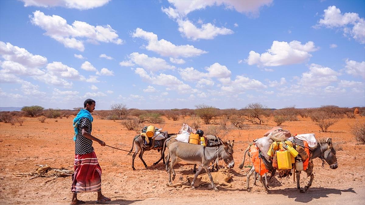 Afrika'nın güneyinde şiddetli kuraklık nedeniyle 15 milyon kişi acil gıda yardımına muhtaç