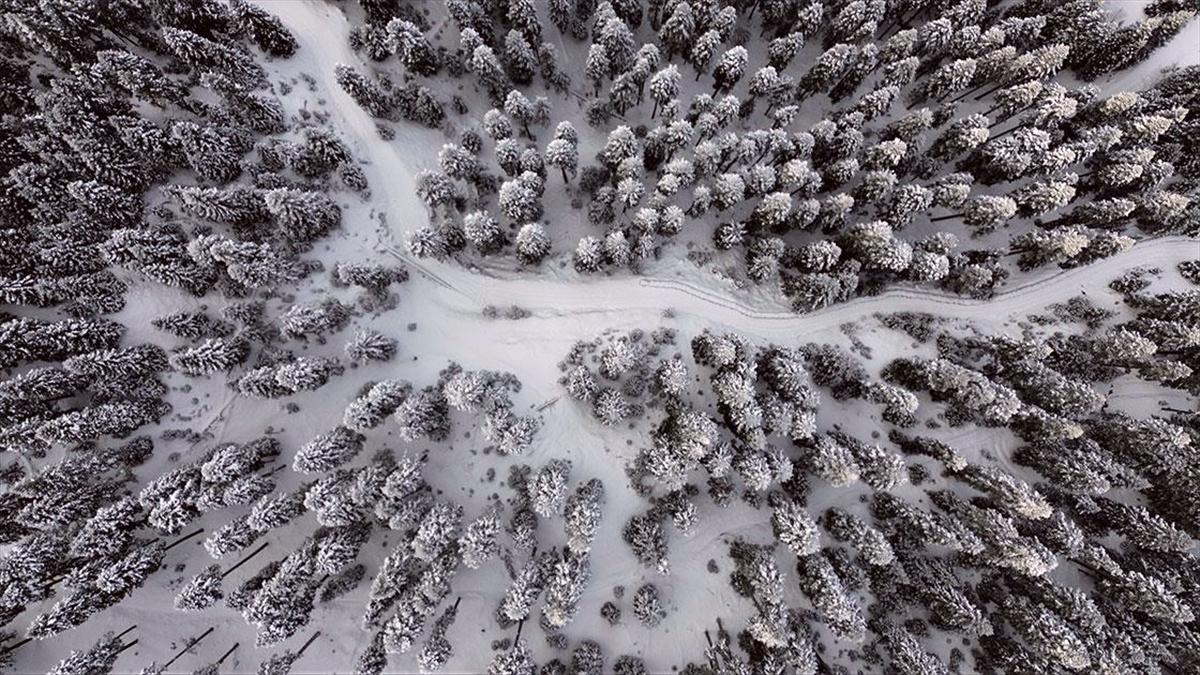 Anadolu'nun yüce dağı Ilgaz doğa tutkunlarını cezbediyor