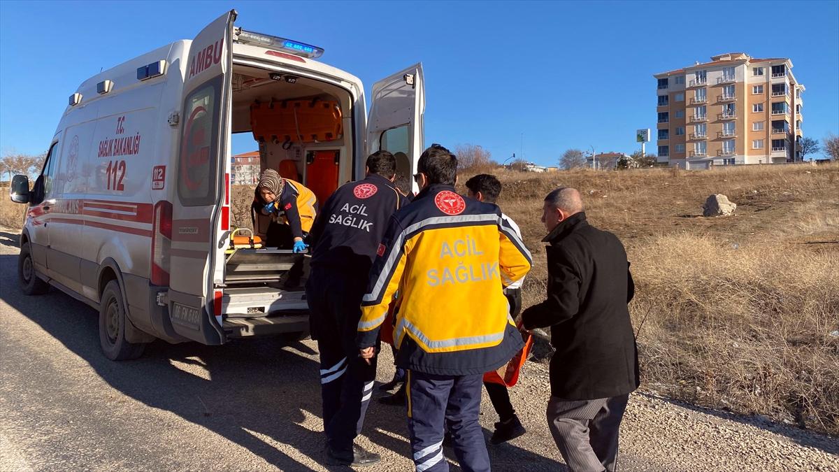 Ankara'da sahipsiz köpeklerin saldırısına uğrayan çocuk yaralandı