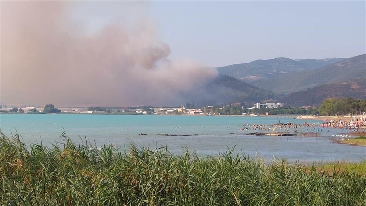 Bursa'da çıkan orman yangınına müdahale ediliyor