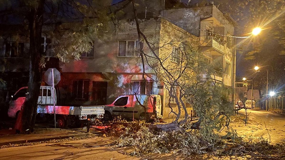 Bursa'da fırtına ağaçlar ve çöp konteynerlerini devirdi, araçlara zarar verdi