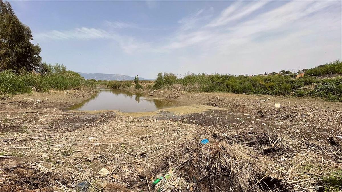 Büyük Menderes Nehri'nin bazı bölümlerinde sular çekildi