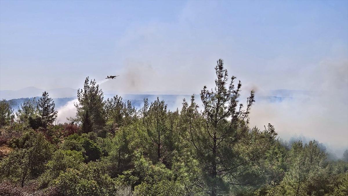 Çanakkale'nin Eceabat ilçesindeki orman yangınına müdahale ediliyor