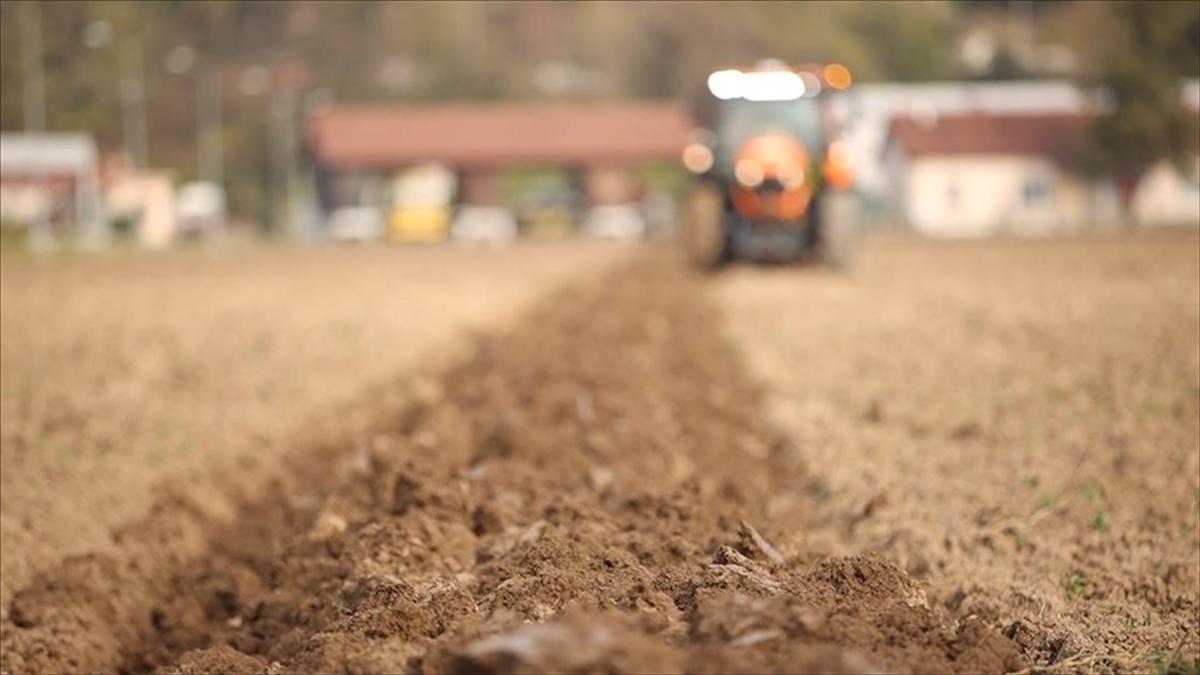 Çiftçilere bugün 1,2 milyar lira tarımsal destekleme ödemesi yapılacak