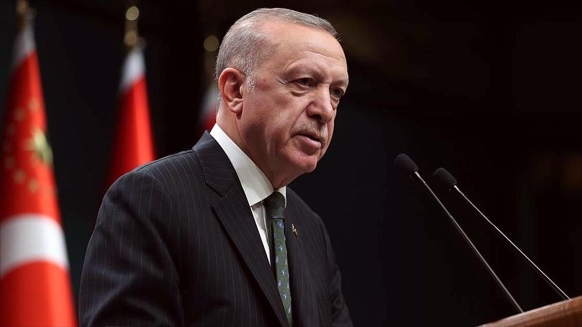 Cumhurbaşkanı Erdoğan'dan, Güney Kore'de uçak kazasında hayatını kaybedenler için başsağlığı mesajı