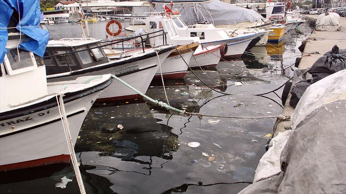 Doğaya bırakılan plastik çöpler deniz canlıları üzerinde ölümcül sonuçlar doğuruyor