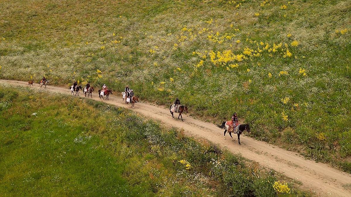 Gürpınar İlçesinde Berivan Kadınlar: Süt Sağmanın Zorlu Yolu