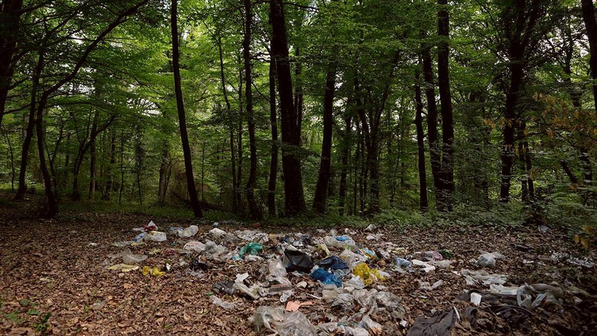 İstanbul'un ormanlık alan ve plajlarında tatilden geriye çöpler kaldı