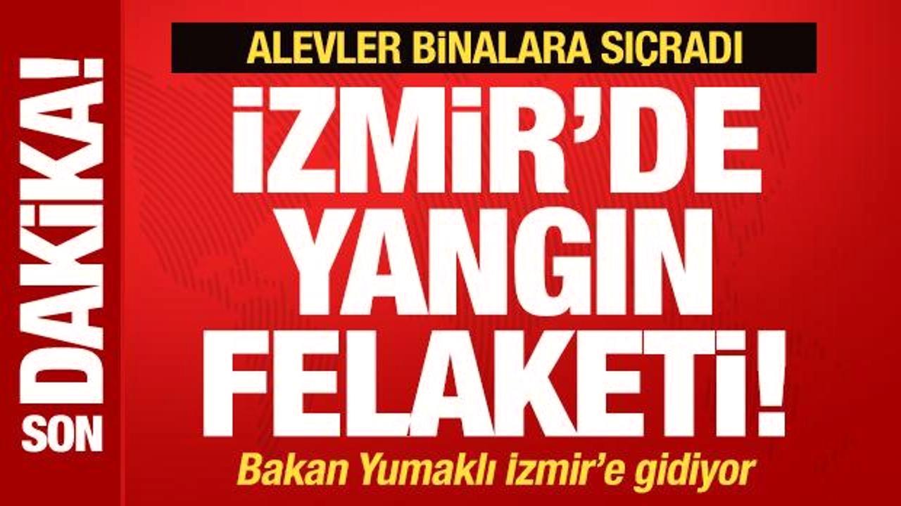 İzmir'de yangın felaketi! Bakan Yumaklı'dan son dakika İzmir kararı