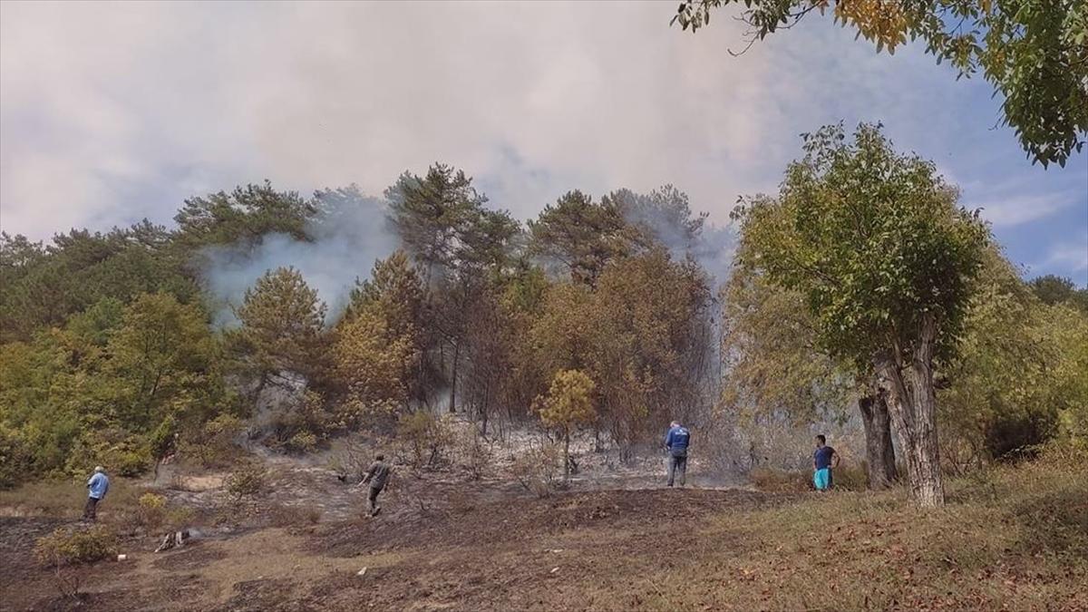 Karabük'te çıkan orman yangınında 15 dönüm alan zarar gördü