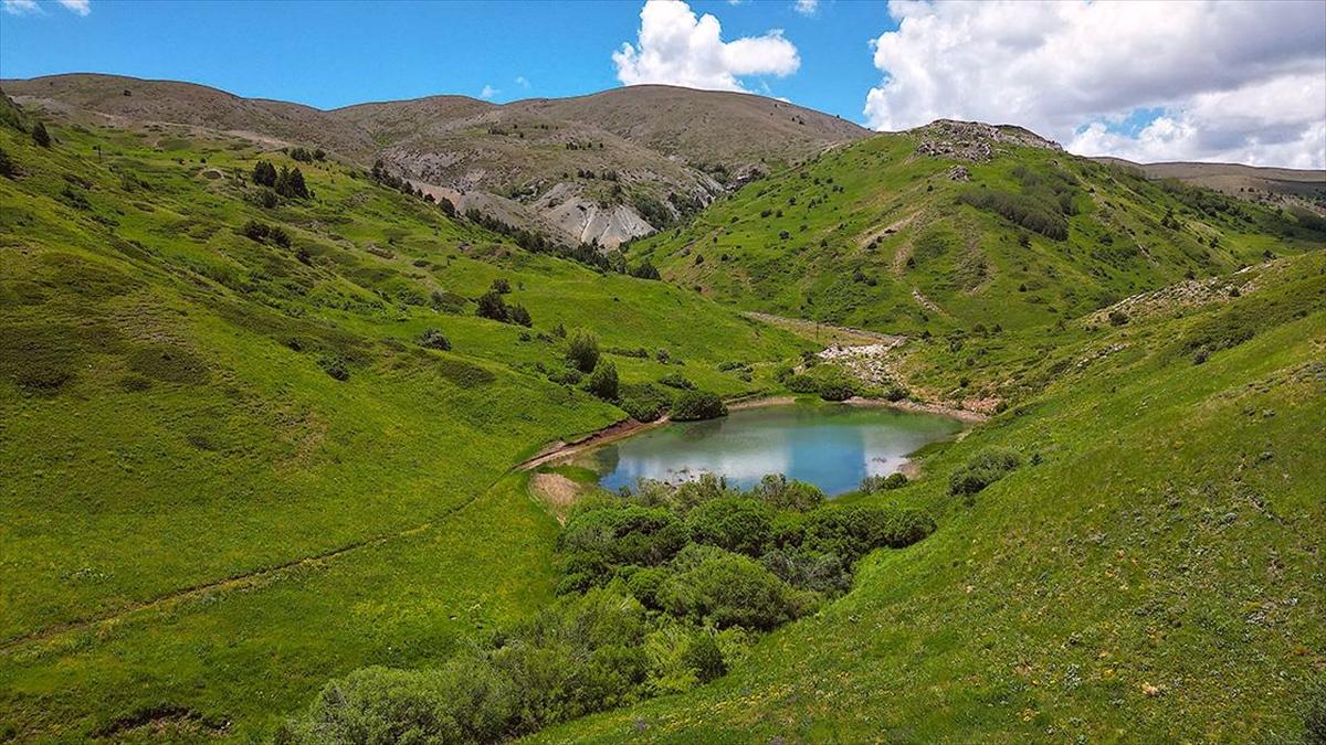 Kop Dağı: Biyoçeşitlilik ve Doğal Güzellikler