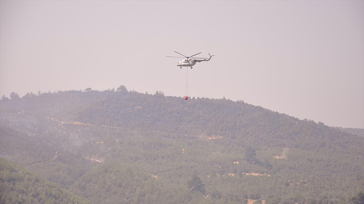 Manisa ve Uşak'taki orman yangınları kontrol altına alındı