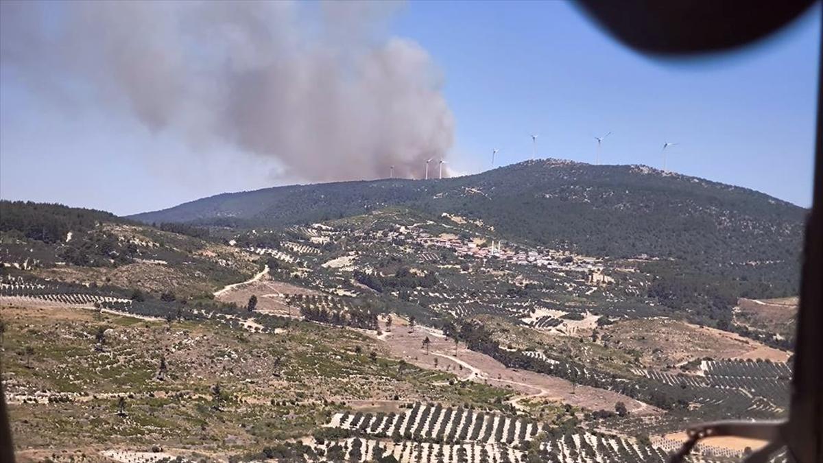 Manisa'nın Soma ilçesinde çıkan orman yangınına müdahale ediliyor