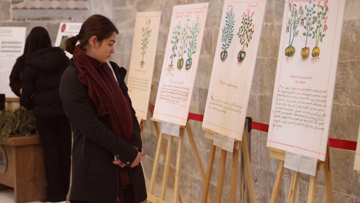 Meksika'nın tıbbi bitkileri Nevşehir'deki resim sergisinde tanıtıldı