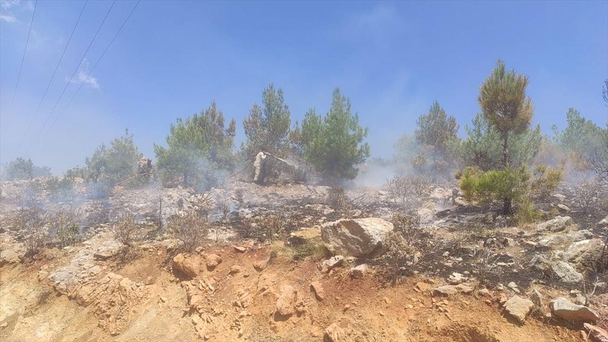 Mersin'de 4 noktada çıkan orman yangınları söndürüldü