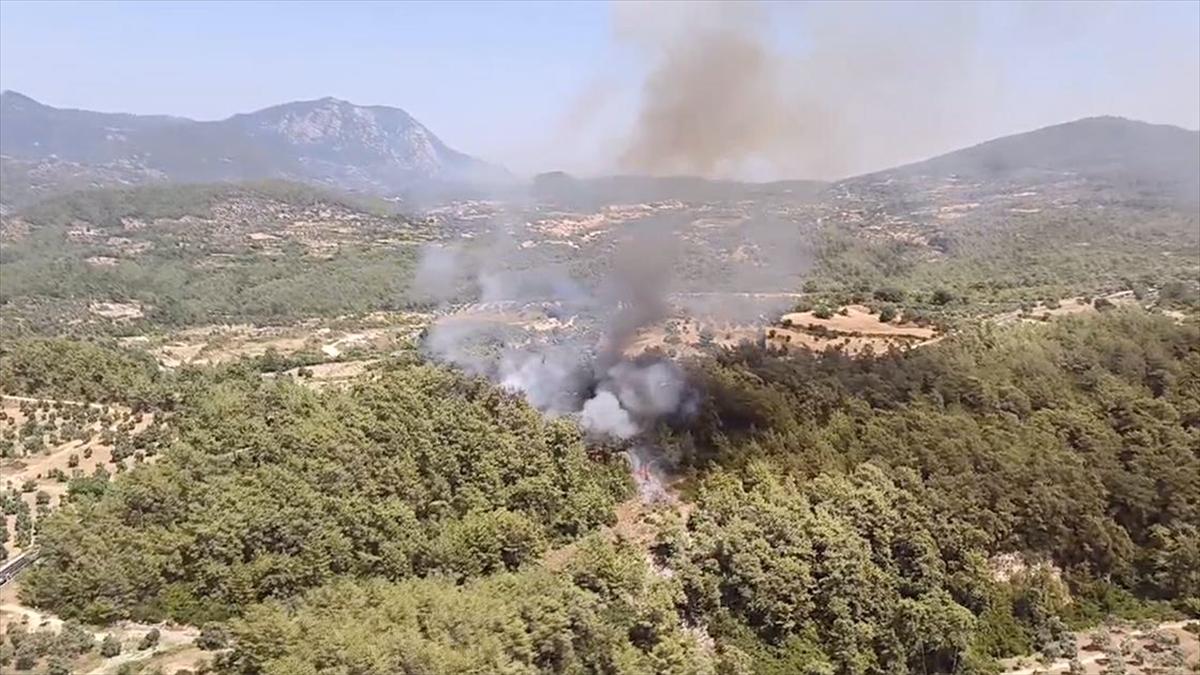 Muğla'nın Milas ilçesinde orman yangını çıktı