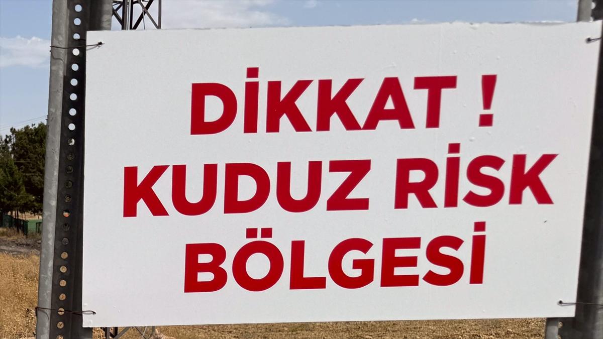 Niğde'de sahipsiz köpeğin bir kişiyi ısırdığı mahallede kuduz karantinası başlatıldı