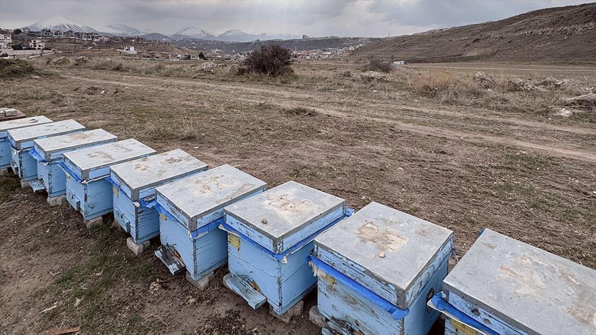 Polen kıtlığı nedeniyle kışa 