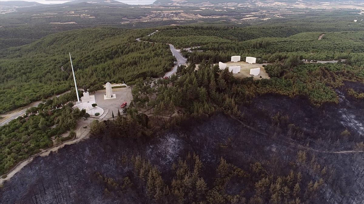 Tarihi Gelibolu Yarımadası'ndaki orman yangını kontrol altına alındı