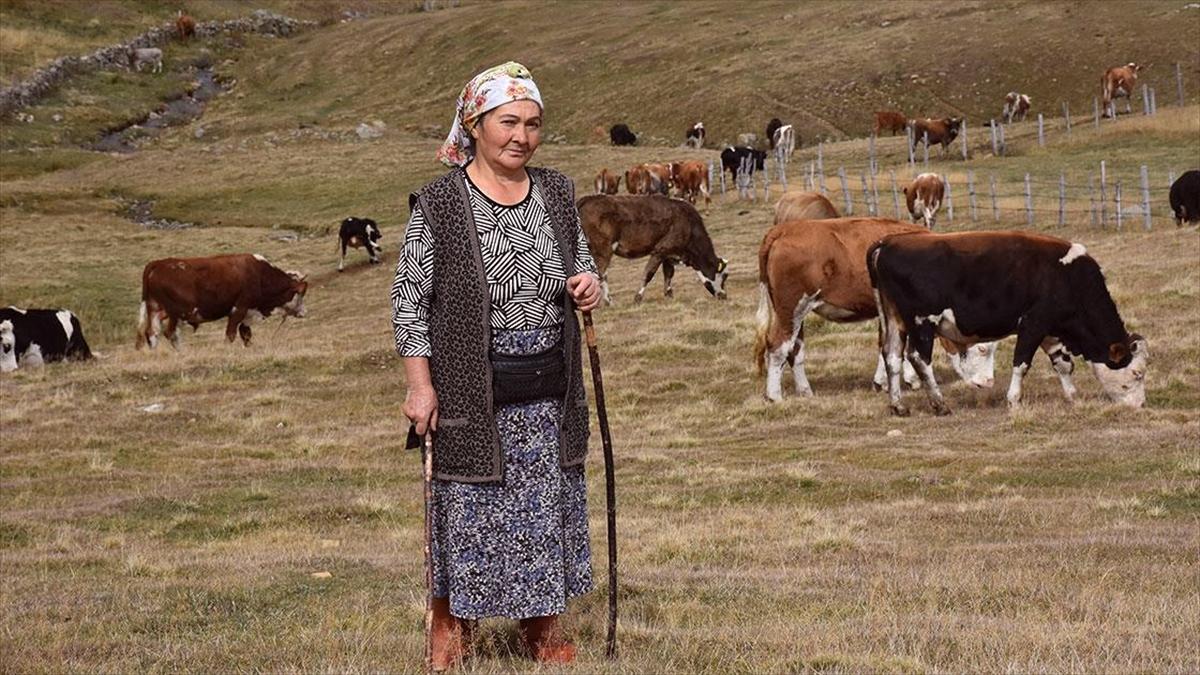 Türker'in Besicilikle Sürdürdüğü Hayatı