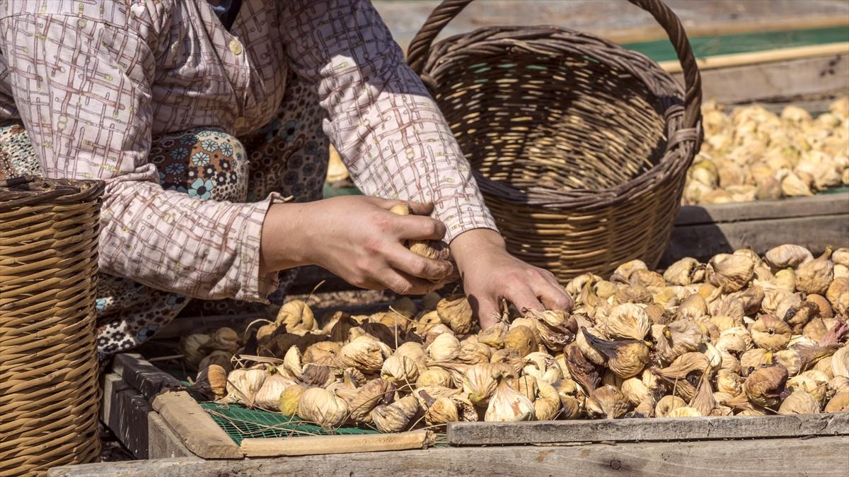 Türkiye'nin kuru meyve ihracatı ilk çeyrekte yüzde 29,9 arttı