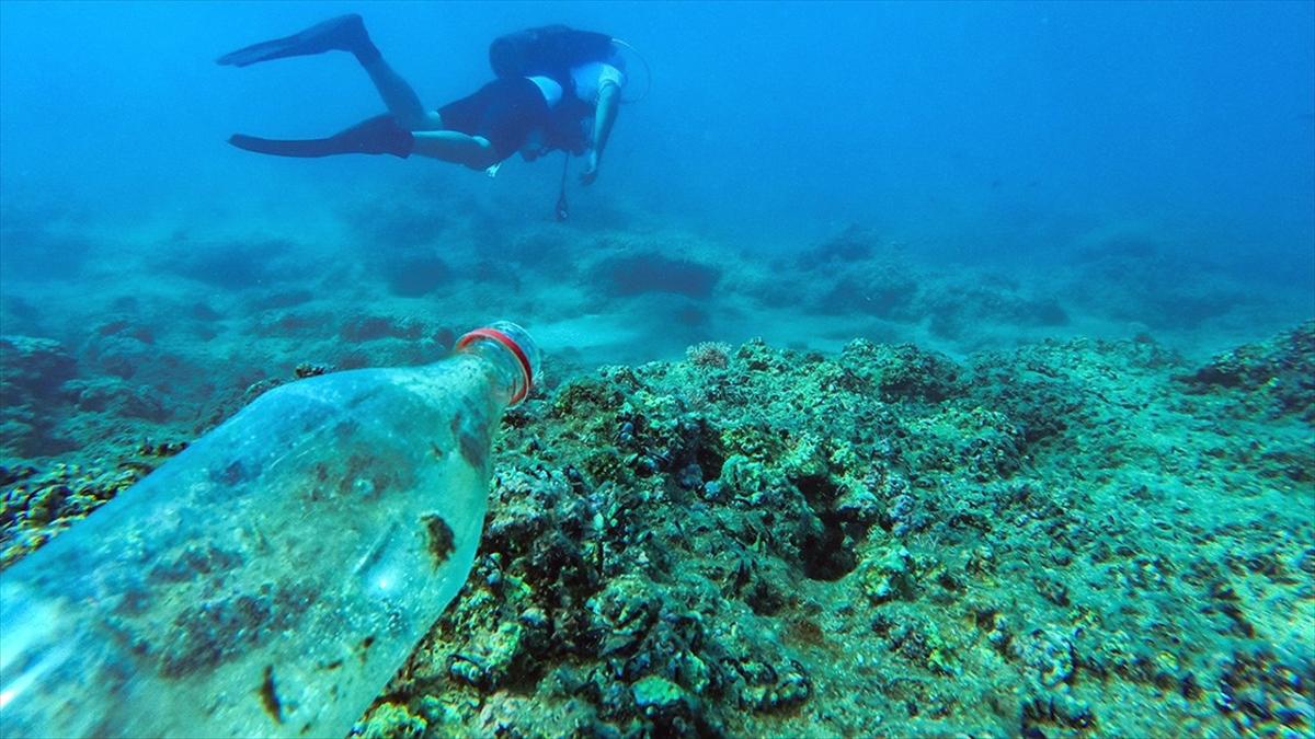 WWF'nin Akdeniz Günü Raporu: 'Hasta Bir Çevrede Sağlık Olmaz'