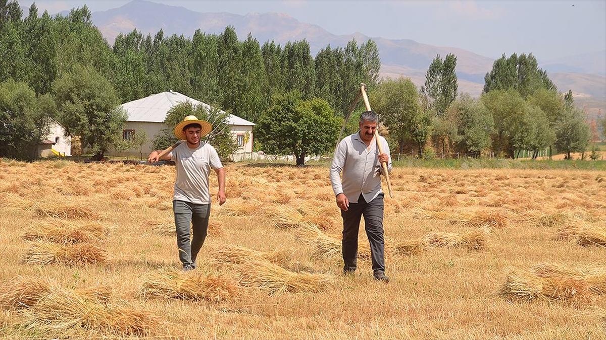 Yüksekova ve Şemdinli'den Tıp Fakültesine Yerleşen İki Başarılı Öğrenci