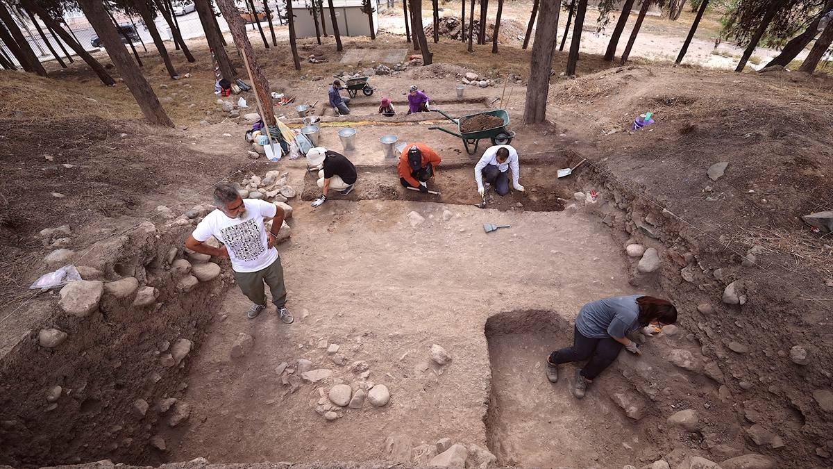 Yumuktepe Höyüğü'nde 9 bin yıllık geçmişe sahip iki buğday türü tespit edildi