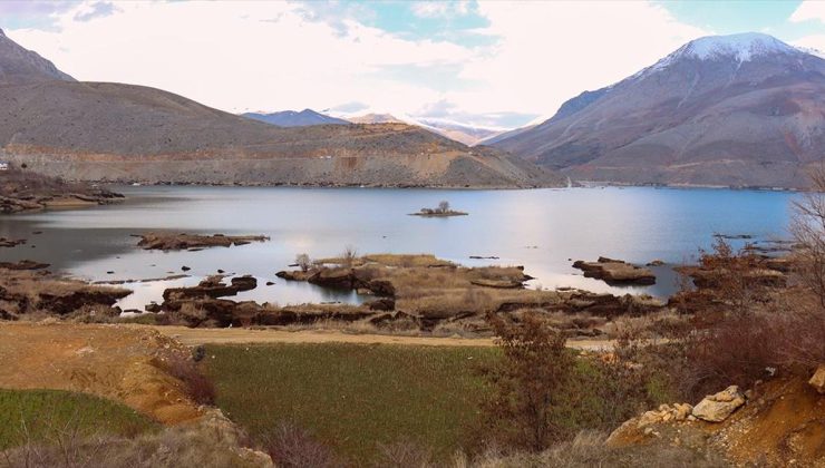 Adıyaman’daki “yüzen adalar”ın kıyıya vurmaması için proje hazırlandı