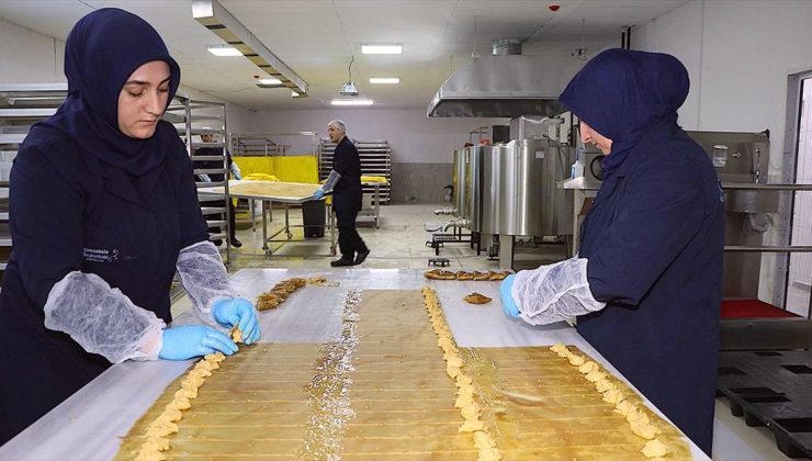 Bayburt’taki pestil ve köme tesisi kadınlara ekmek kapısı oldu