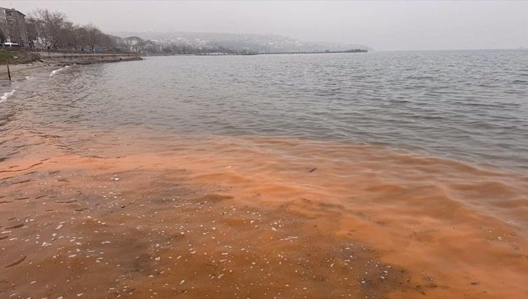 Tekirdağ’da planktonların çoğalmasıyla deniz suyu yer yer renk değiştirdi