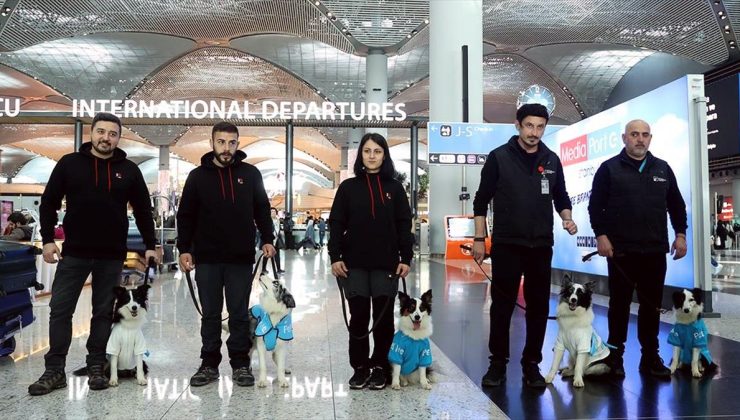 İstanbul Havalimanı’nda “terapi köpekleri” göreve başladı