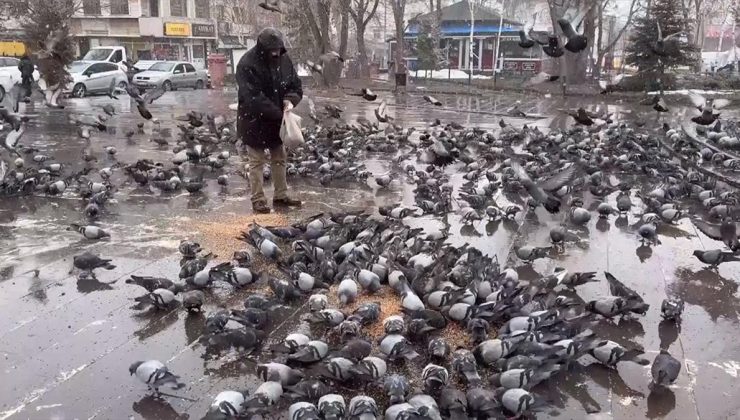 Kar yağışının sürdüğü Ardahan’da vatandaşlar güvercinleri besledi