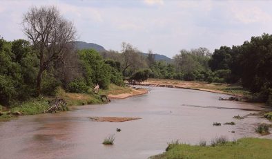 Kruger Ulusal Parkı ve Makuleke Kabilesi: Eşsiz İşbirliği ve Başarı Hikayesi