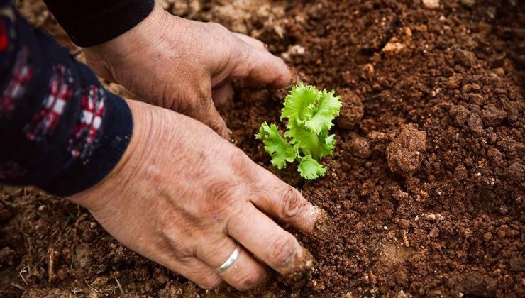 Tarımda Kadın Emeği Zirvesi yarın başlayacak