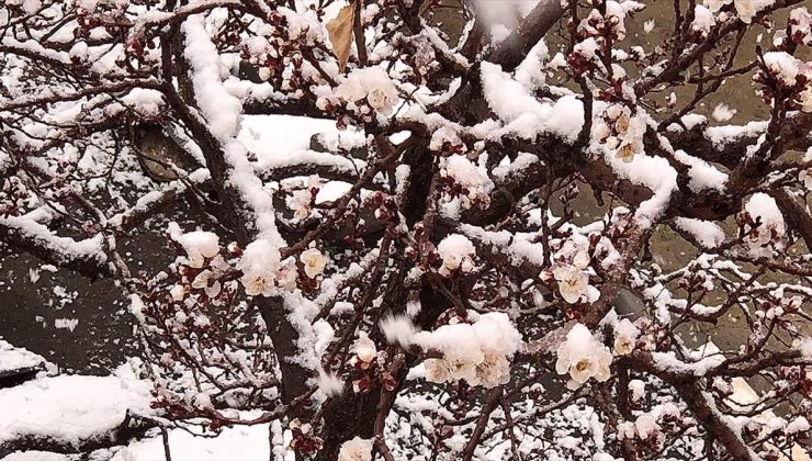 Yurdun bazı kesimleri için zirai don uyarısı