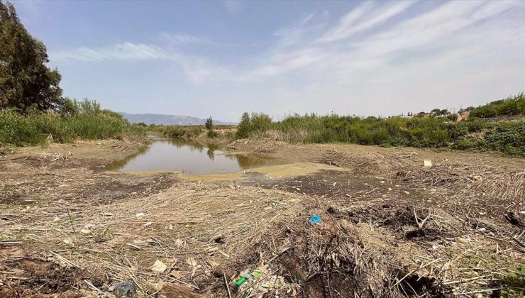 Büyük Menderes Nehri’nin bazı bölümlerinde sular çekildi