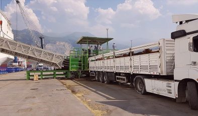 Canlı hayvan ithalatında kullanılacak sağlık sertifikalarına ilişkin düzenlemenin uygulaması ertelendi