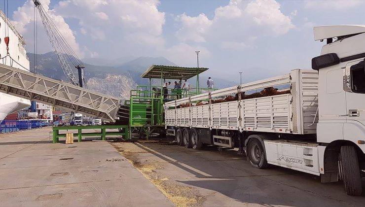 Canlı hayvan ithalatında kullanılacak sağlık sertifikalarına ilişkin düzenlemenin uygulaması ertelendi