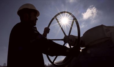 Devlet, ücretsiz doğal gaz için 5 milyar 195 milyon liralık ödeme yaptı