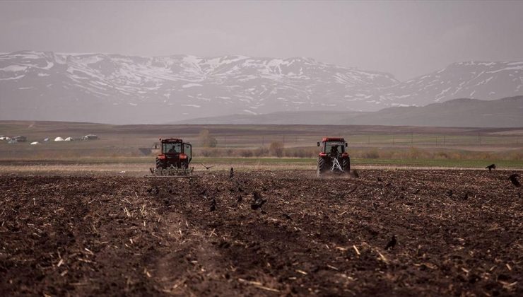 Karların eridiği Kars’ta çiftçiler yem bitkisi ekim mesaisinde
