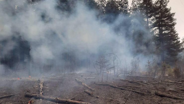 Kastamonu’da enerji nakil hattından sıçrayan kıvılcım ormanda yangına neden oldu