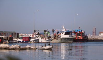 Yalovalı balıkçılar bu yıl da hamsi ile kazanç sağladı