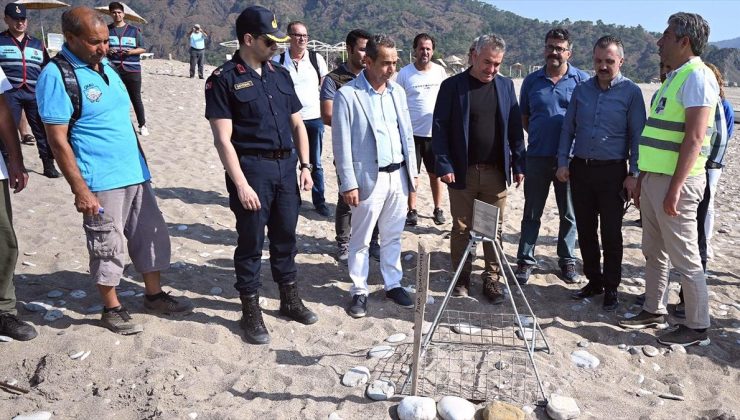 Antalya’nın Çıralı sahilinde caretta carettalar yumurta bırakmaya başladı