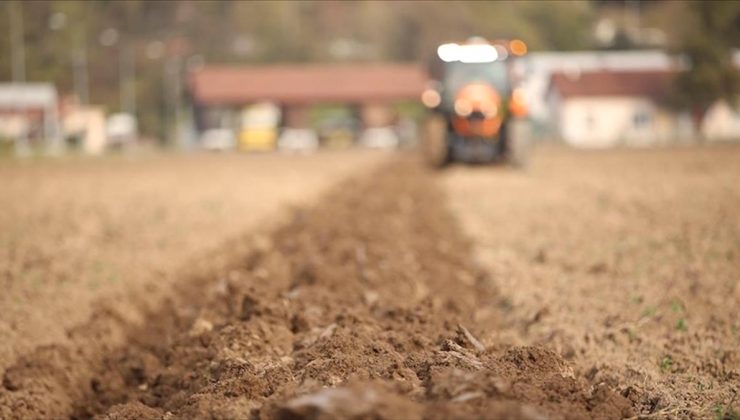 Çiftçilere bugün 1,2 milyar lira tarımsal destekleme ödemesi yapılacak