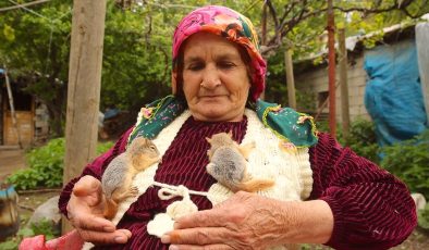 Hakkarili aile tarlada bitkin halde buldukları 2 sincap yavrusunun bakımını üstlendi