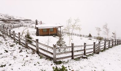 Trabzon yaylaları mayısta beyaza büründü