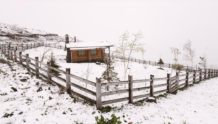 Trabzon yaylaları mayısta beyaza büründü