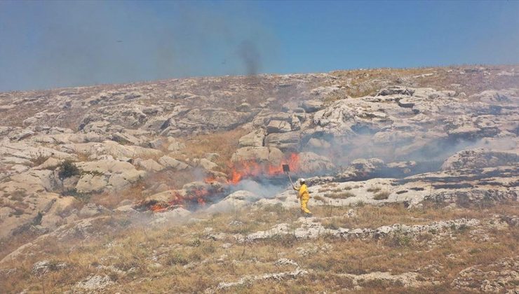 Adıyaman’da çıkan örtü yangını ormana sıçramadan söndürüldü